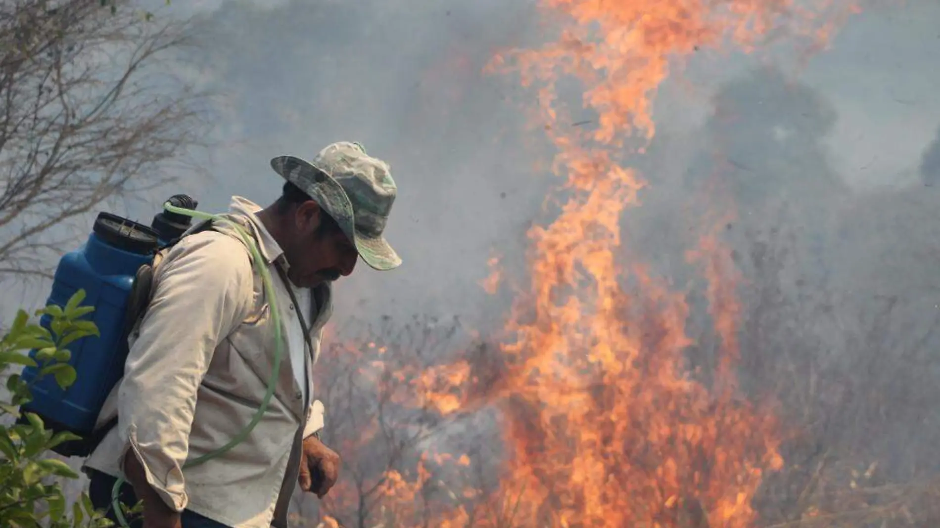 incendio Zapaa (2)